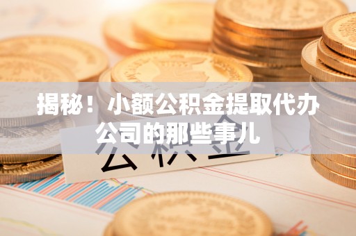白水揭秘！小额公积金提取代办公司的那些事儿