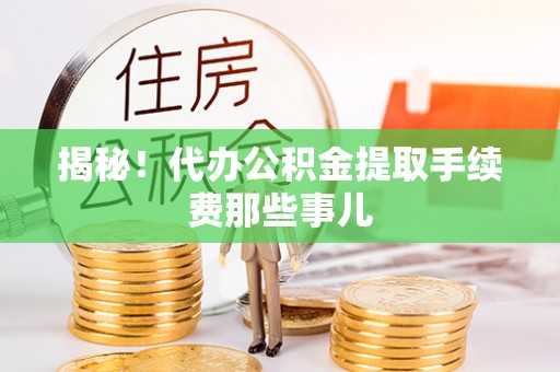 白水揭秘！代办公积金提取手续费那些事儿