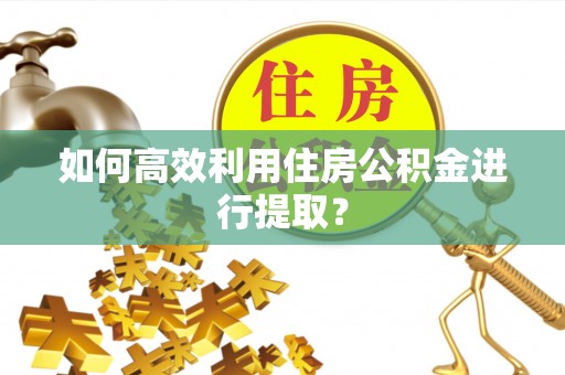 白水如何高效利用住房公积金进行提取？
